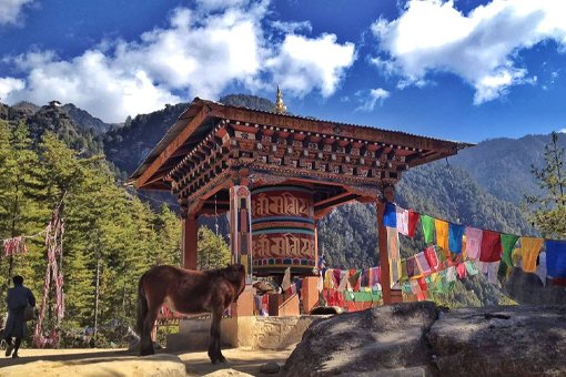 Punakha Dzong