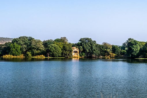Ranthambore Landscape